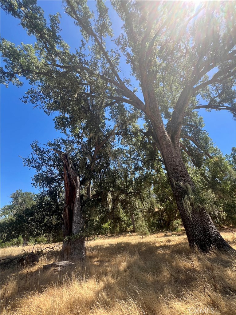 0 Near Fort Bradley, CA 93426 - Photo 7 of 35