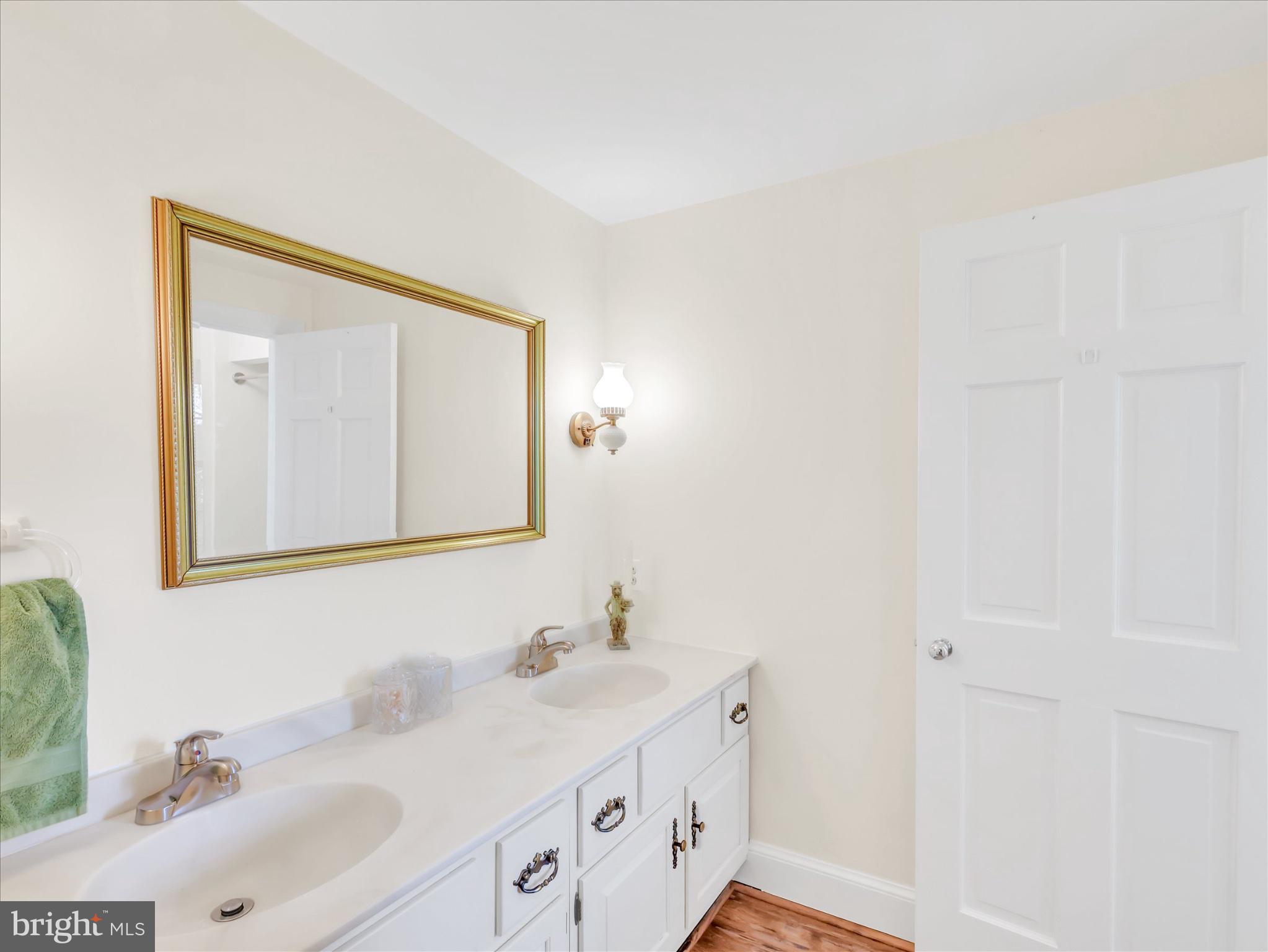 19255 Telegraph Springs Road Purcellville, VA 20132 - Photo 77 of 107 a bathroom with a sink and a mirror