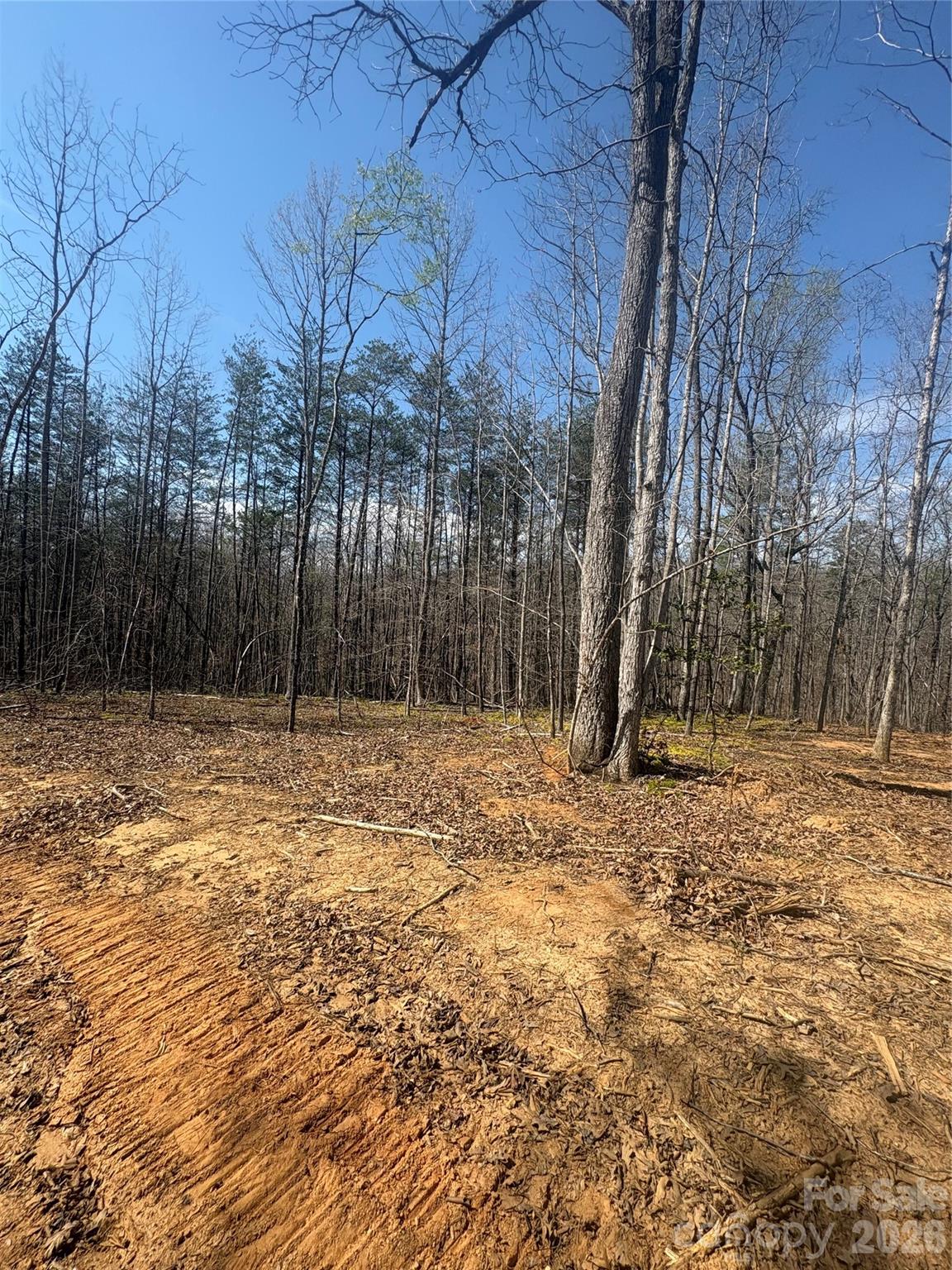Tbd Avenida De Oro Road, Unit 3 1 Morganton, NC 28655 - Photo 1 of 4 a backyard of a house