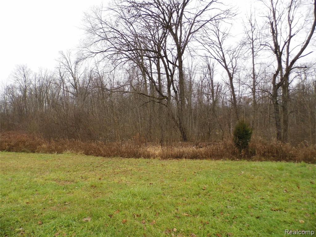 1900 South Bull Run Road Fowlerville, MI 48836 - Photo 8 of 9 Gallery Image 8
