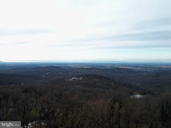 a view of a city with lush green forest