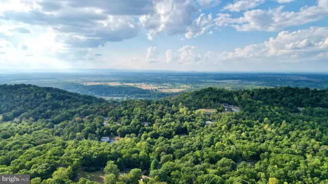 a sign of golf club on a wall under a tree