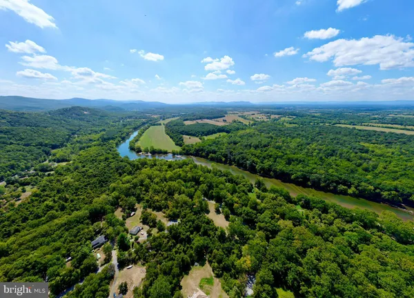 a view of yard with trees