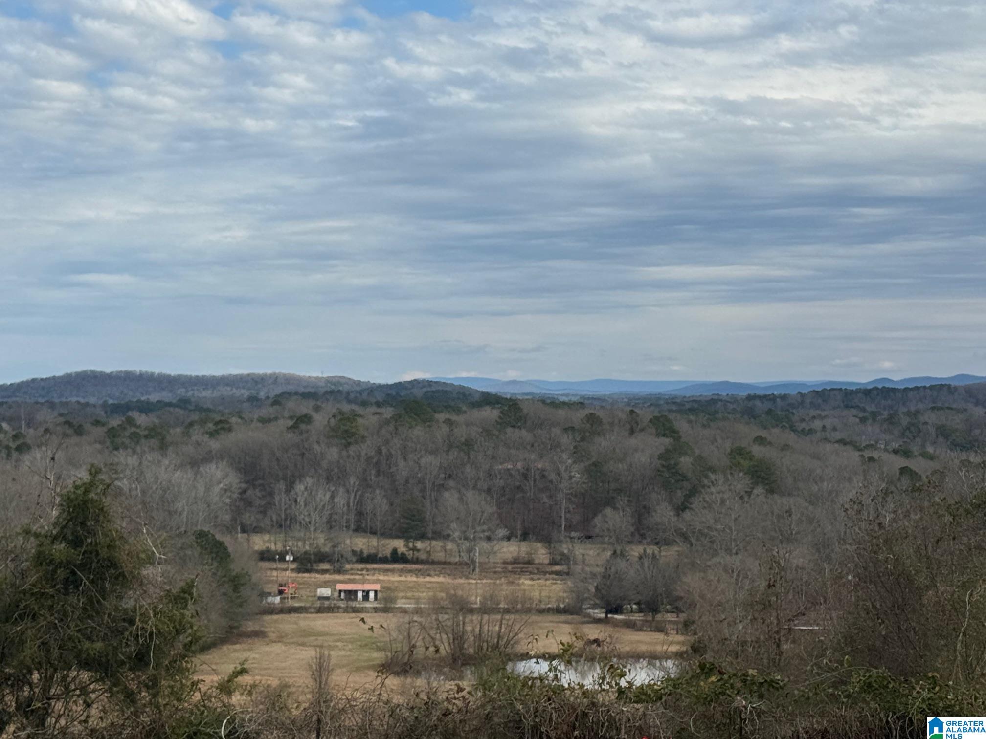 3953 Logan Martin Dam Road Cropwell, AL 35054 - Photo 52 of 99