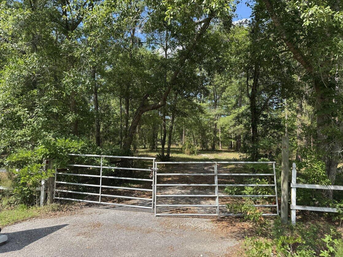 3452 Cypress Pond Road Walterboro, SC 29488 - Photo 5 of 9