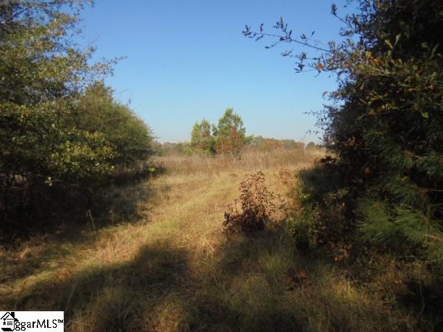 0 McGee Road Anderson, SC 29625 - Photo 3 of 8 Gallery Image 3