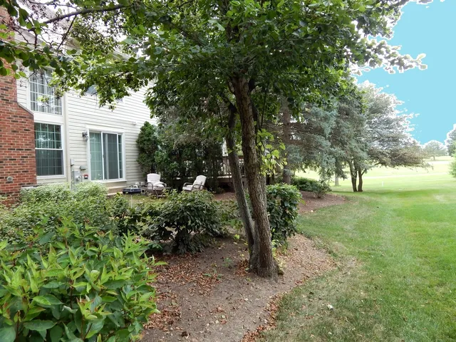 a view of a house with a tree in the yard