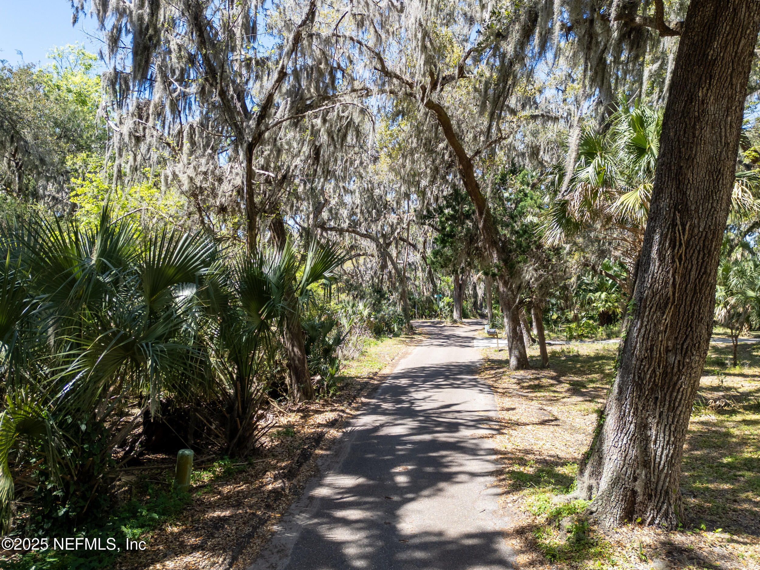16380 Waterville Road Jacksonville, FL 32226 - Photo 5 of 15 18_16380-16386 waterville rd 8
