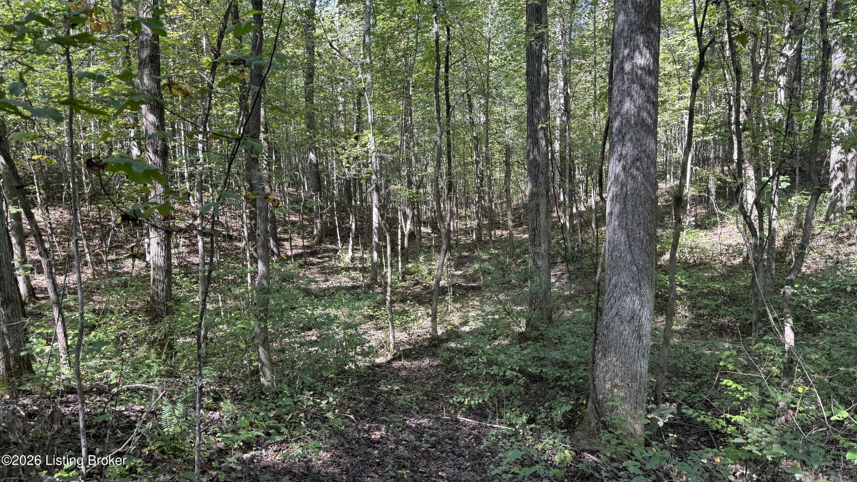 500 Attilla Road Campbellsville, KY 42718 - Photo 12 of 13 12