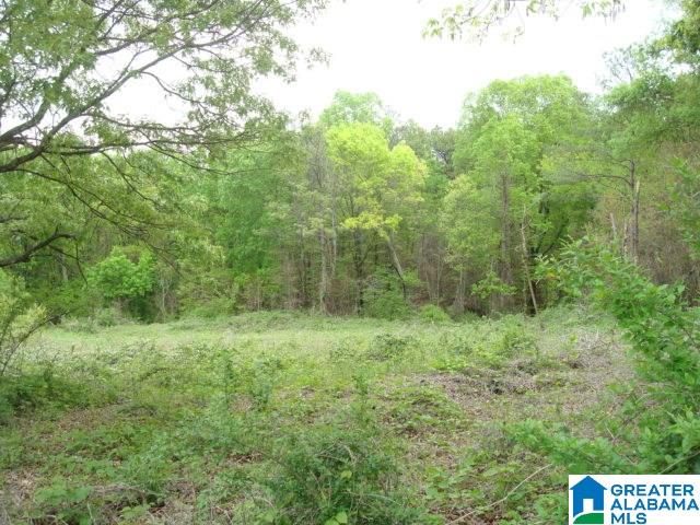 Kitchens Street, Unit 20 Anniston, AL 36201 - Photo 5 of 16