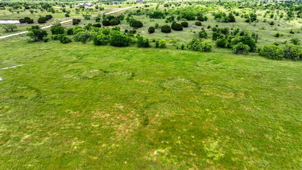 1000 Goodnight Trail Perrin, TX 76486 - Photo 6 of 7
