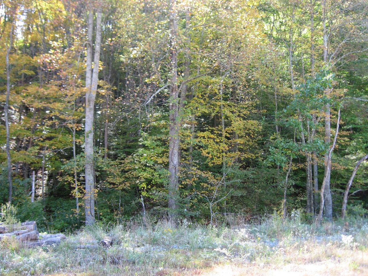 609 Fort Springs Road Ronceverte, WV 24970 - Photo 16 of 17 boundary
