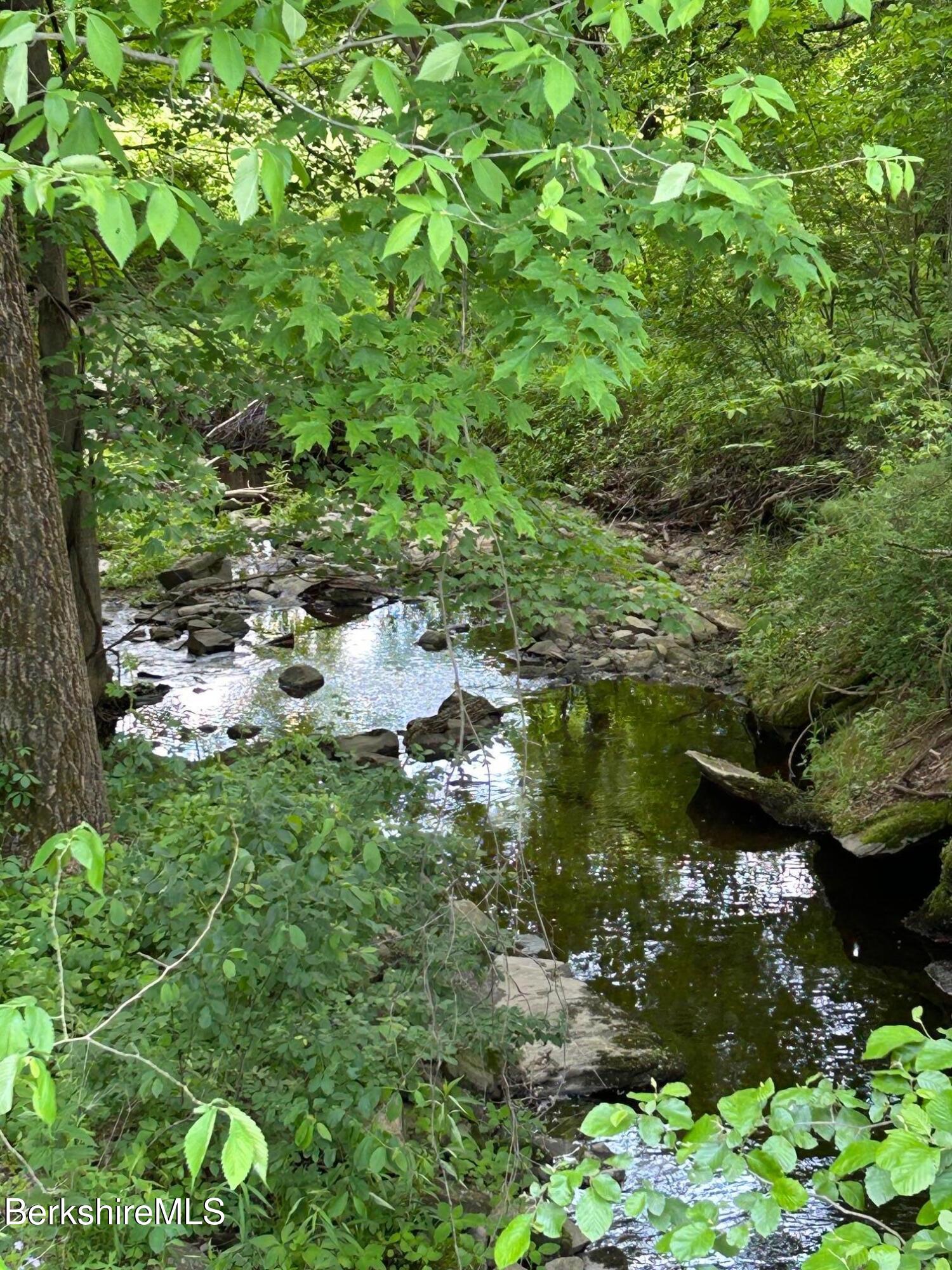0 Brewer Branch Road Southfield, MA 01259 - Photo 9 of 13 Brewer Brook