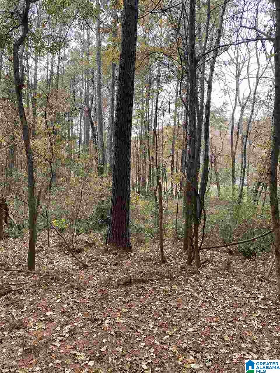 1 Highway 216, Unit 1 McCalla, AL 35111 - Photo 8 of 8