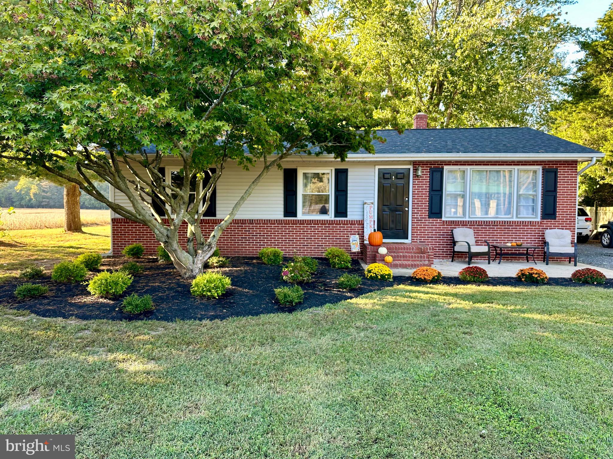12826 Ridgely Road Greensboro, MD 21639 - Photo 2 of 46 Late Summer/Early Fall Pic