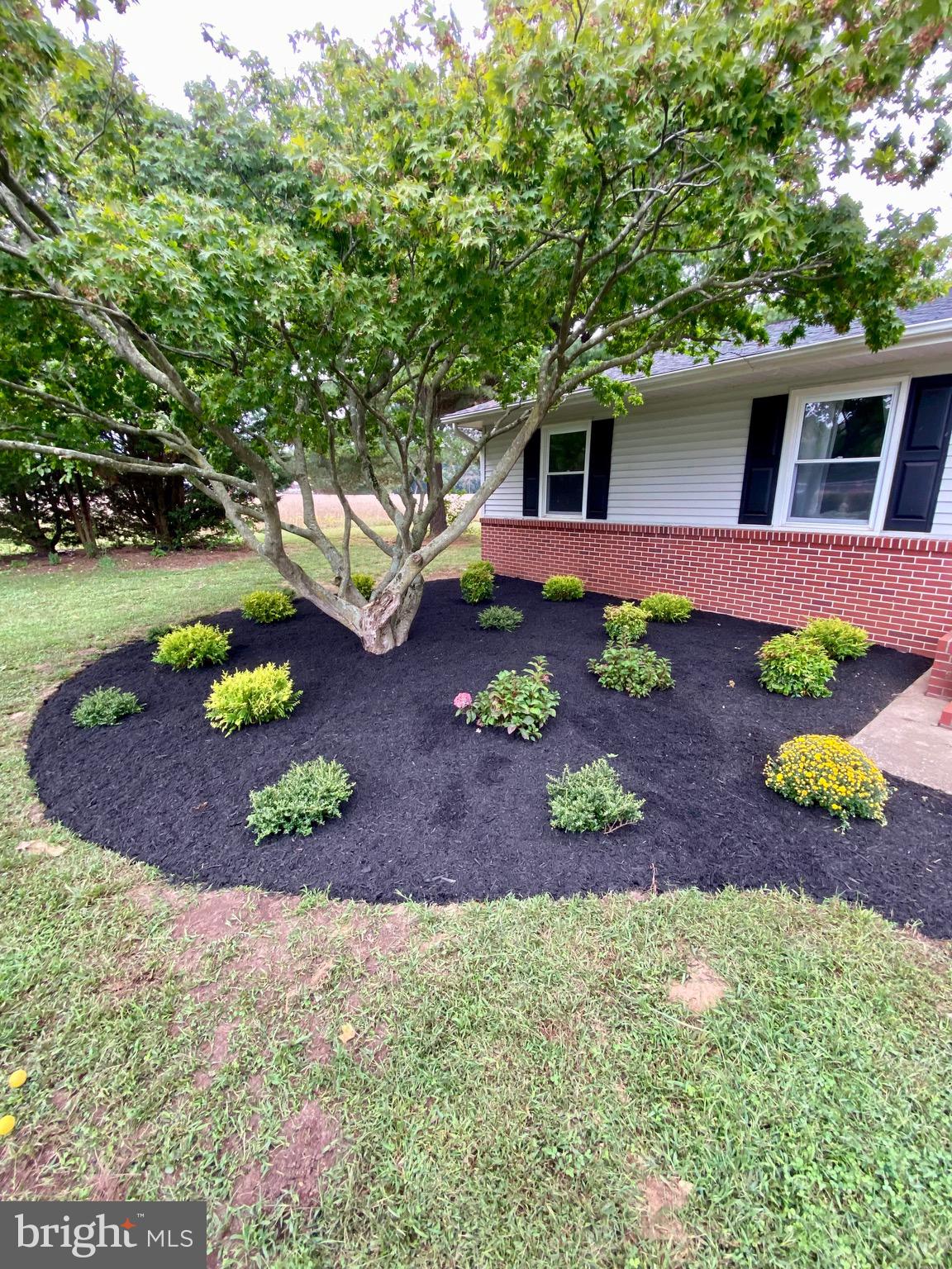 12826 Ridgely Road Greensboro, MD 21639 - Photo 37 of 46 Early Fall/Late Summer