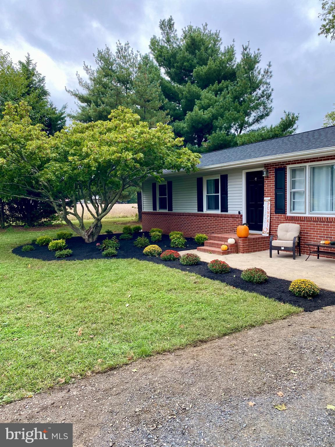 12826 Ridgely Road Greensboro, MD 21639 - Photo 38 of 46 Freshly Landscaped