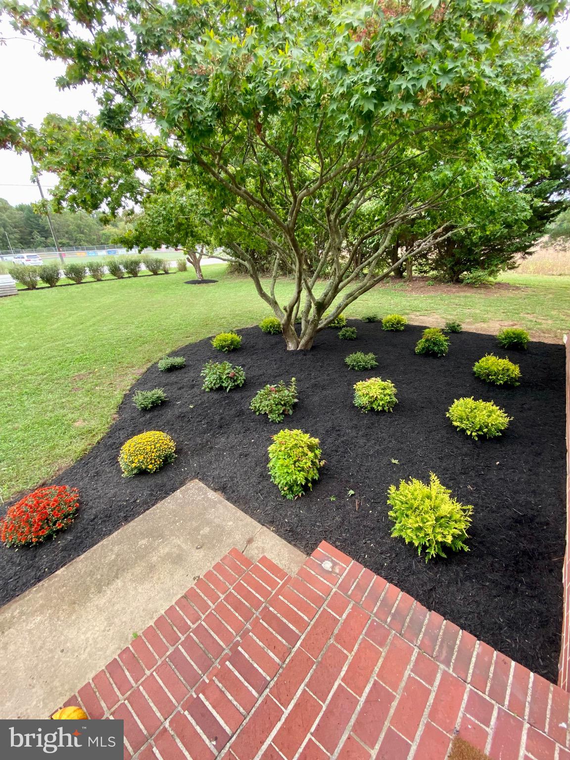 12826 Ridgely Road Greensboro, MD 21639 - Photo 39 of 46 Beautiful property