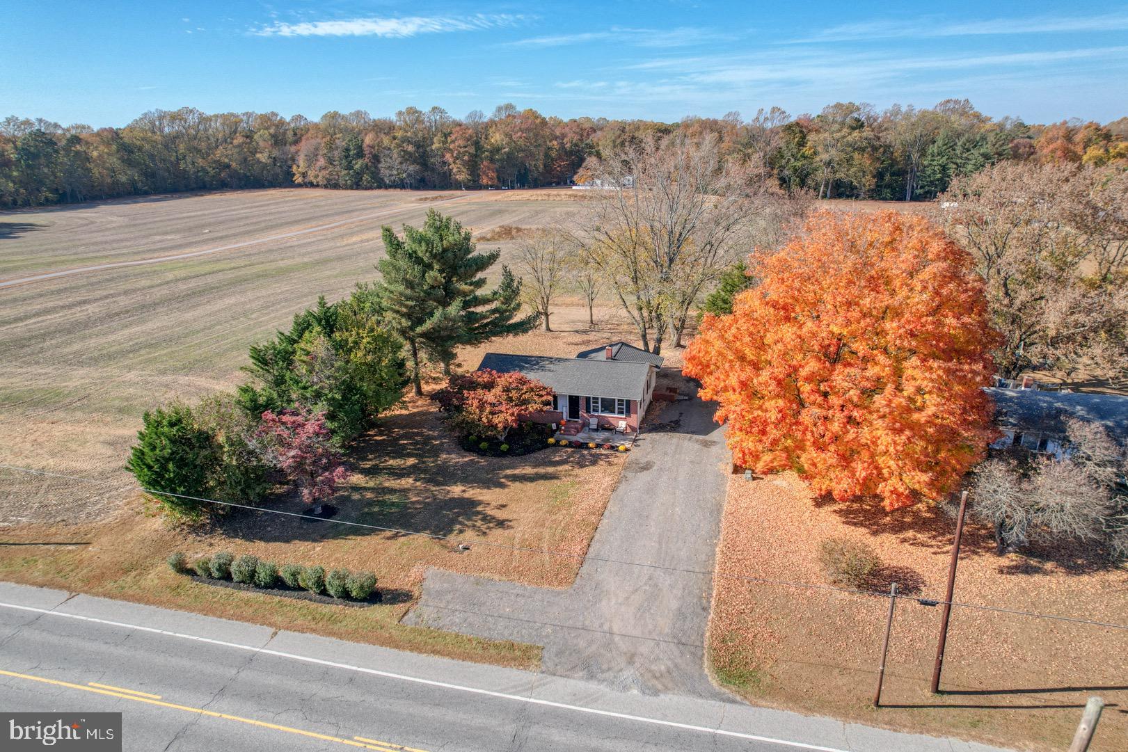 12826 Ridgely Road Greensboro, MD 21639 - Photo 4 of 46 Beautiful Foliage around your yard
