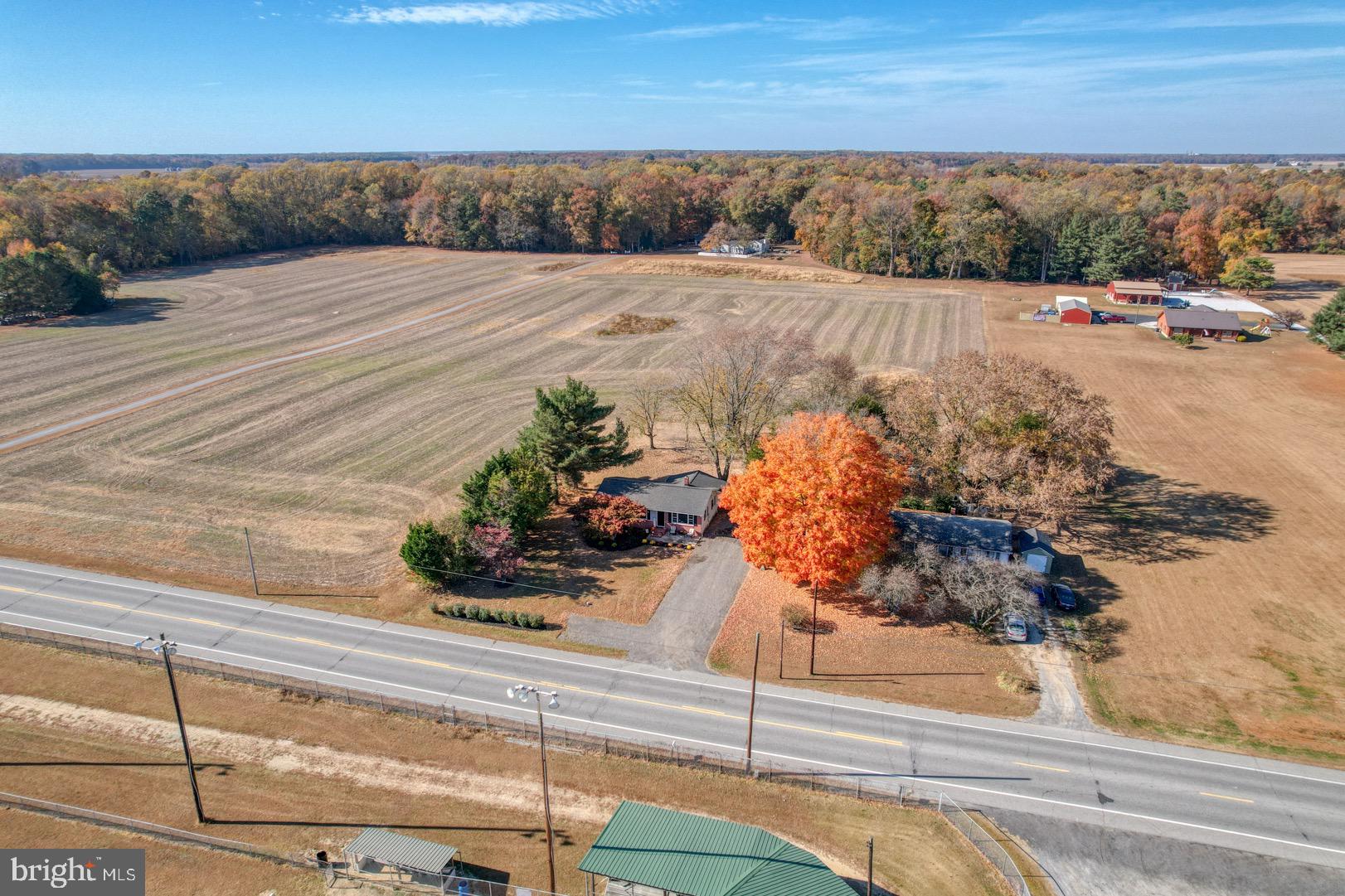 12826 Ridgely Road Greensboro, MD 21639 - Photo 5 of 46 Surrounded by farmland