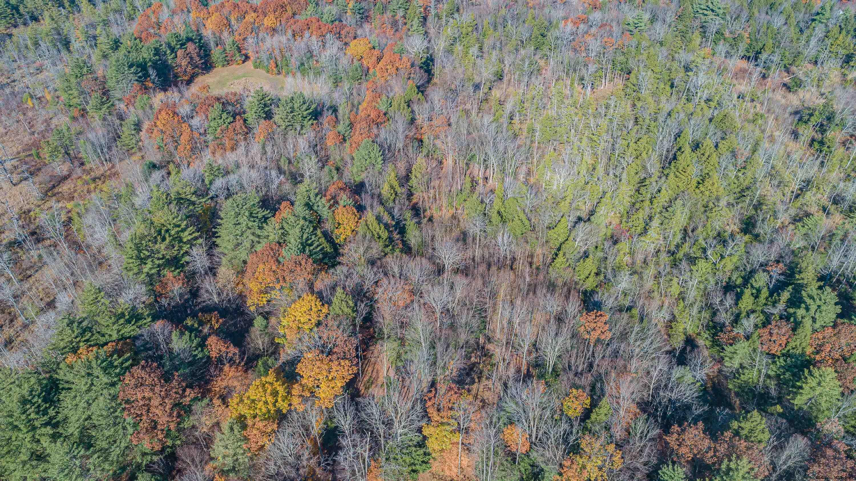 6405 Antioch Road Middle Grove, NY 12850 - Photo 69 of 82 Photo 70