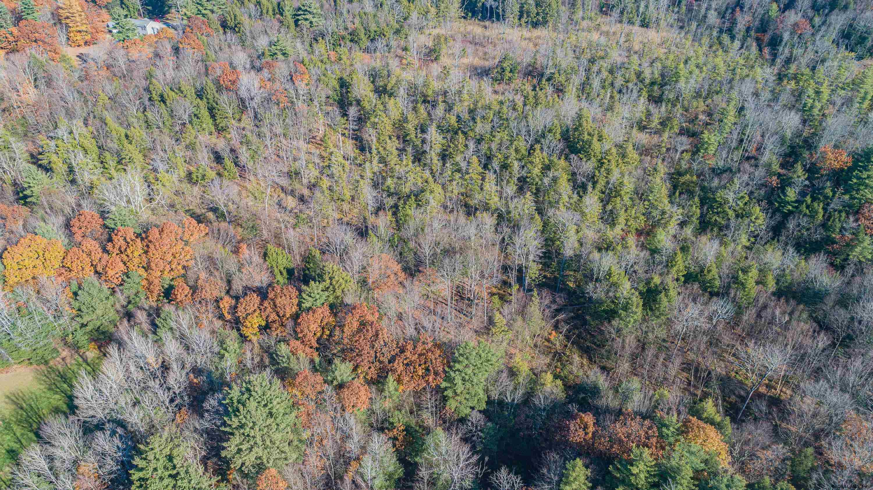 6405 Antioch Road Middle Grove, NY 12850 - Photo 70 of 82 Photo 71