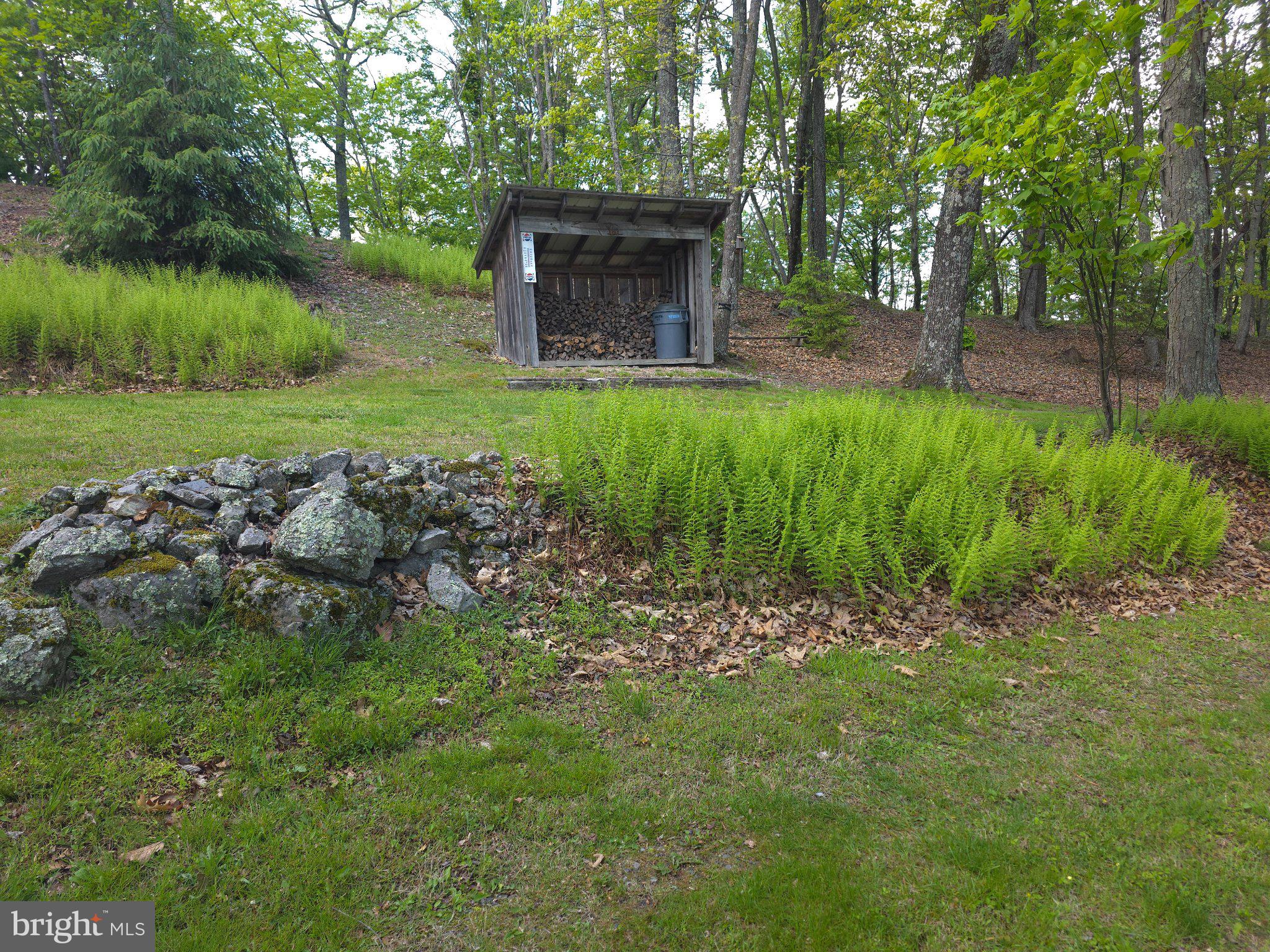 152 Sharp Ridge Lane Franklin, WV 26807 - Photo 42 of 53 a view of a yard with plants and large trees