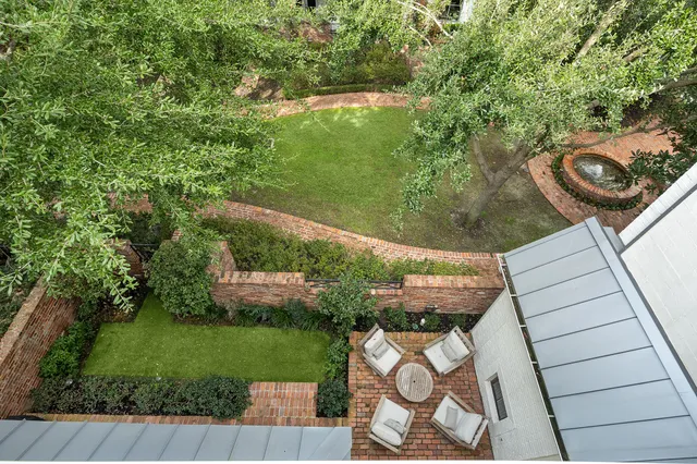 a view of a yard with plants and large trees