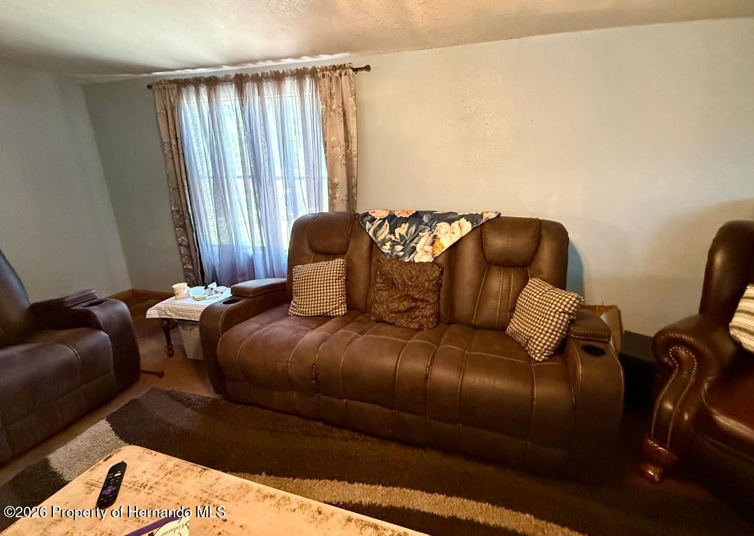 11340 Southwest 28th Way Webster, FL 33597 - Photo 13 of 38 The room is comfortable, large and inviting with a fireplace.