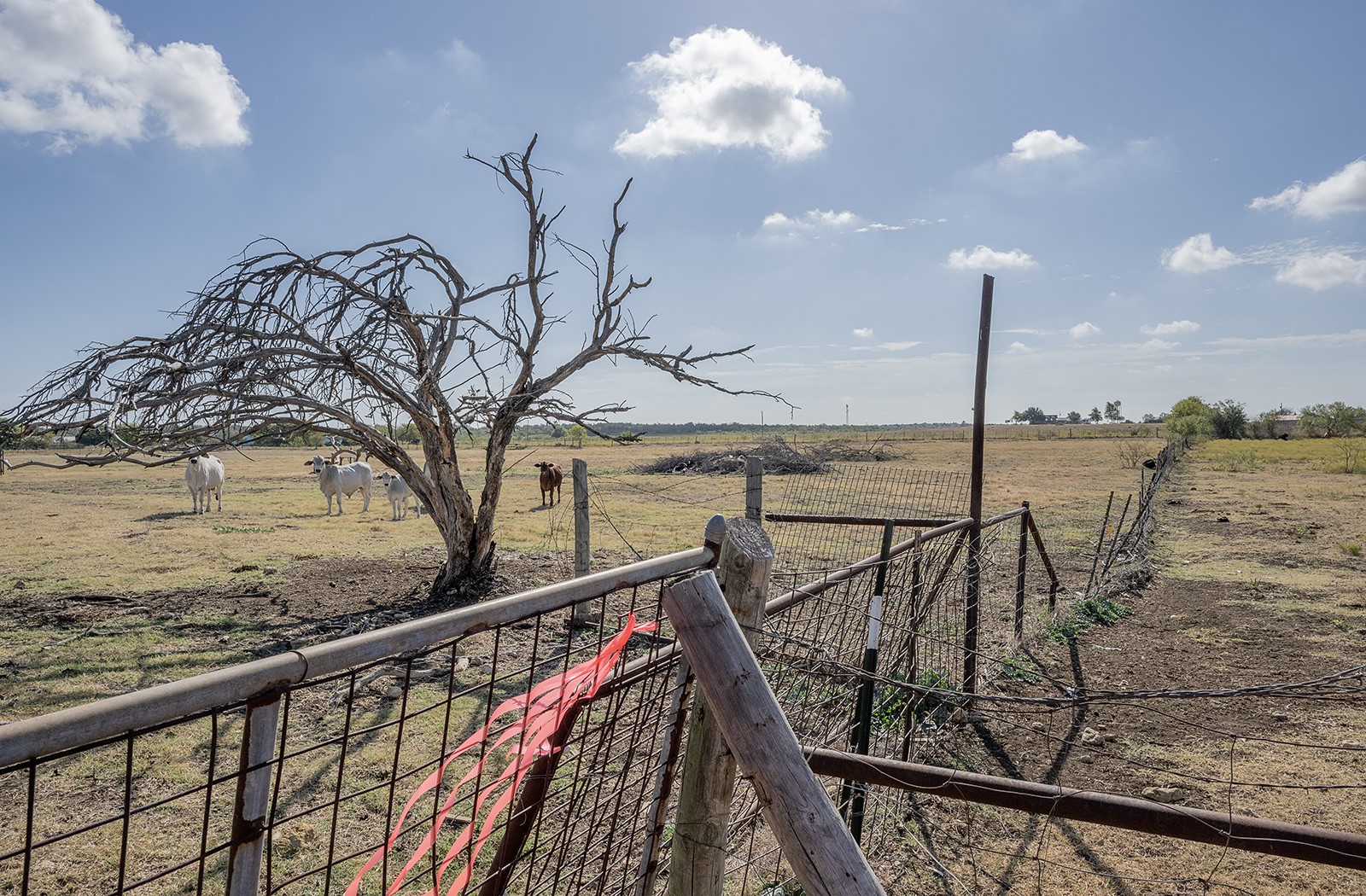 1841 County Road 305 Jarrell, TX 76537 - Photo 2 of 7 This picture was taken at the back crossfence were the 8.424 acres meets the 22.99 acre tract.