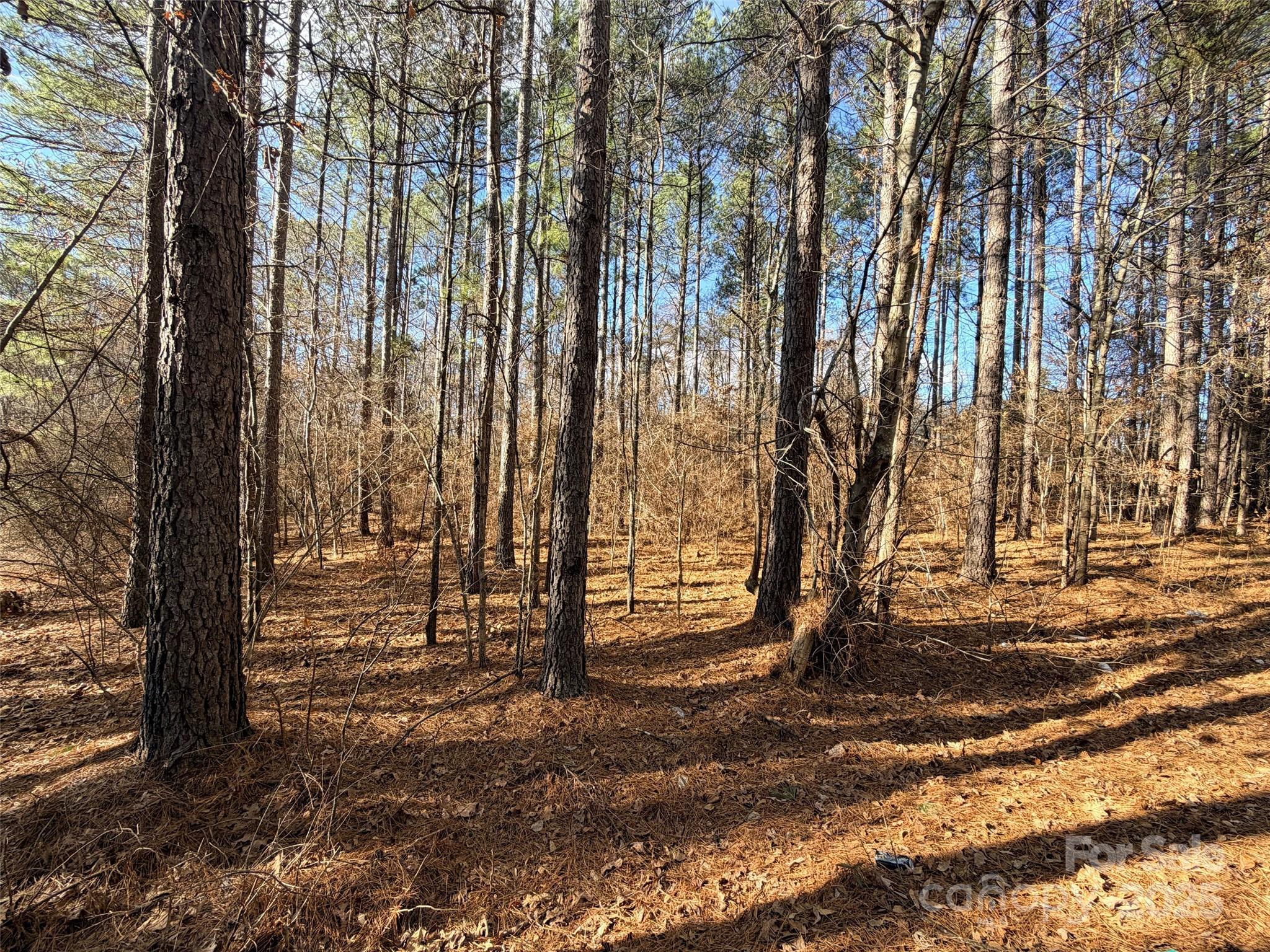 9999 Doggett Grove Road Forest City, NC 28043 - Photo 2 of 4 a view of outdoor space with deck and tree