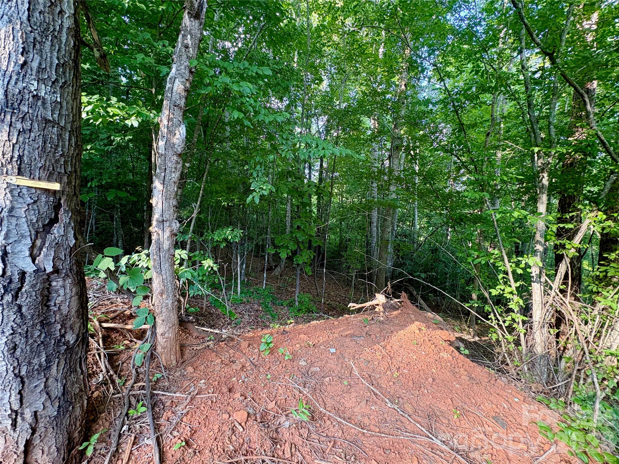 289 Champagne Ridge Lake Lure, NC 28746 - Photo 2 of 6