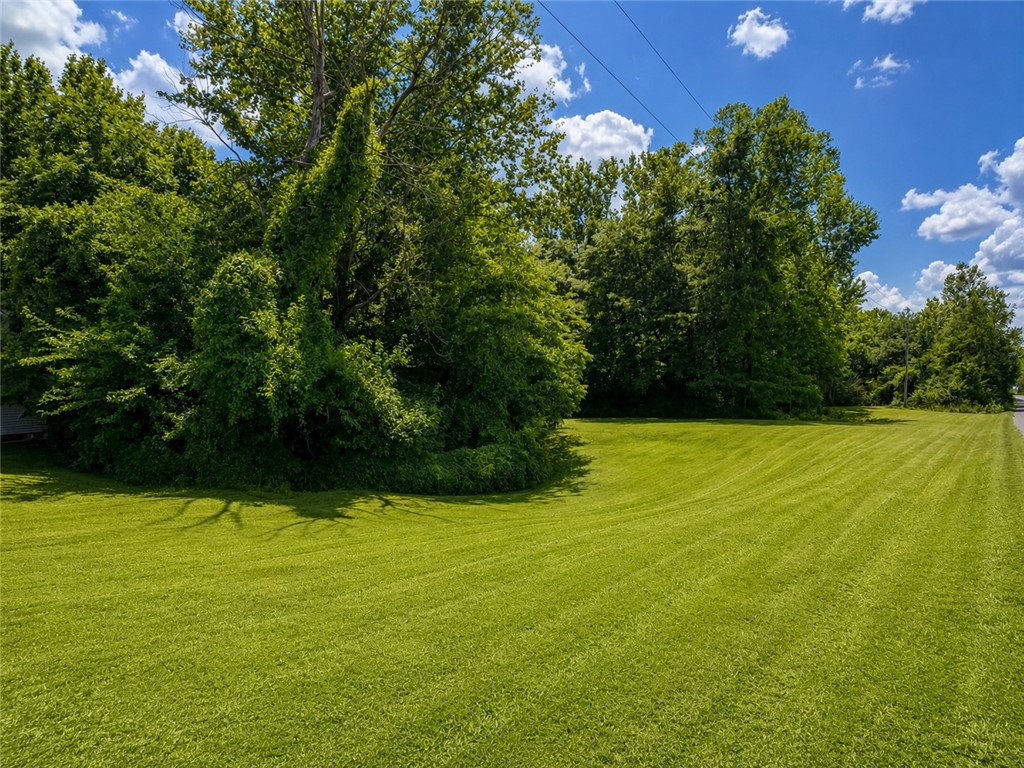 25030 East Fishback Road Marshall, IL 62441 - Photo 32 of 39