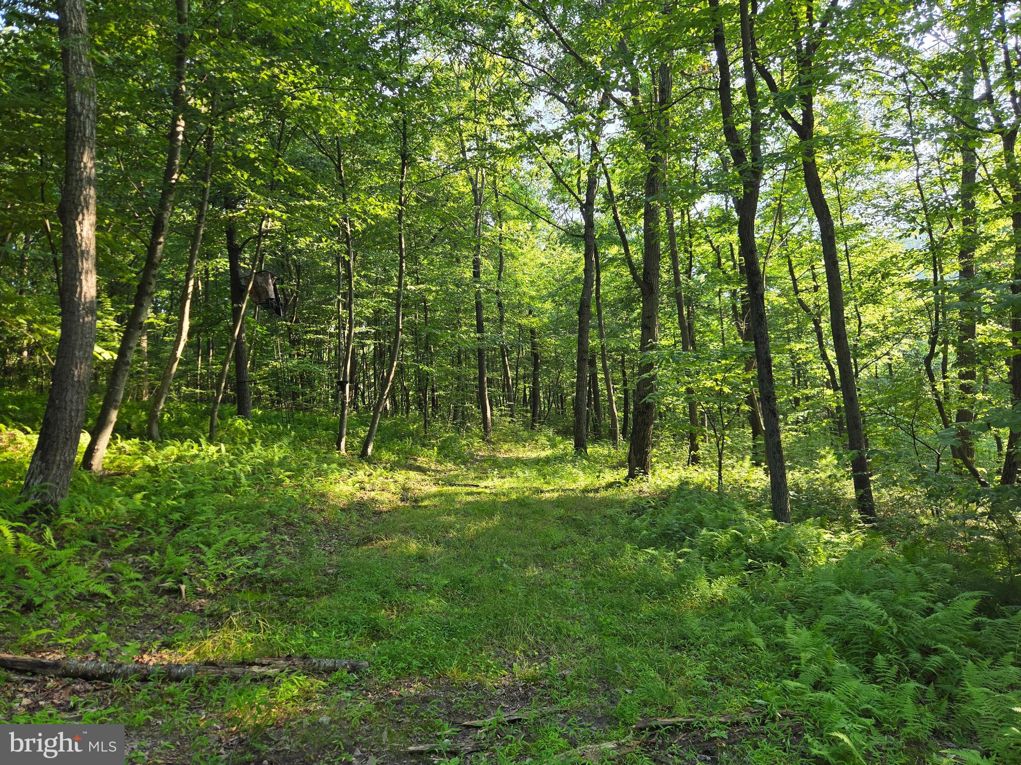 0 Carlisle Gap Road Lewistown, PA 17044 - Photo 23 of 53