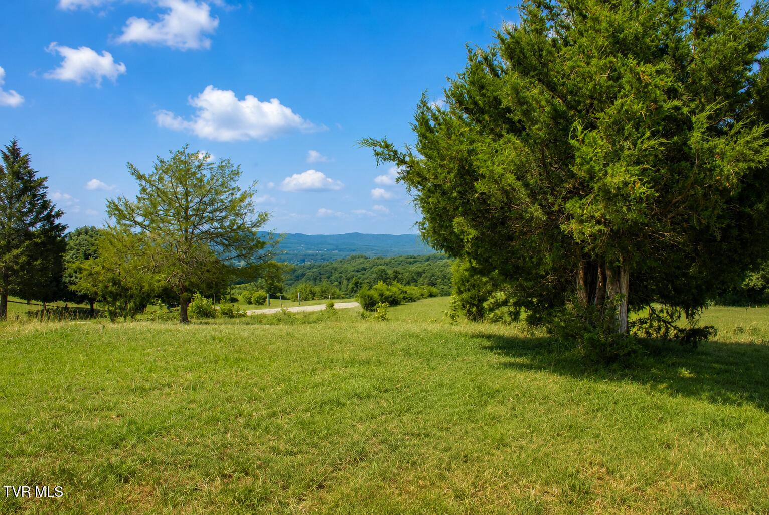 710 Colvert Road Mosheim, TN 37818 - Photo 50 of 57 Land view 2
