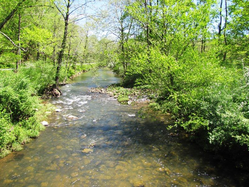 329 Trout Run Road Waiteville, WV 24984 - Photo 5 of 91 Gallery Image 5