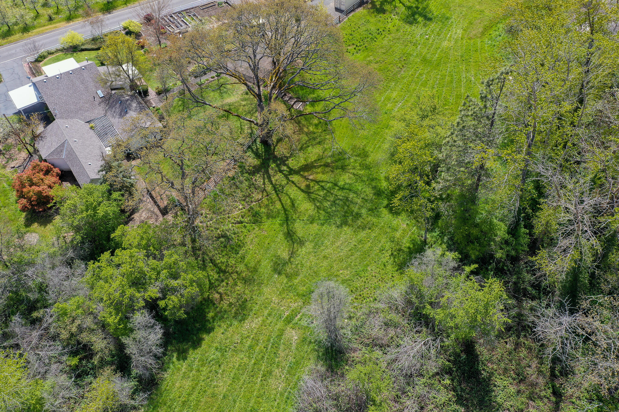 5510 Adams Road Talent, OR 97540 - Photo 52 of 59 DJI_0838