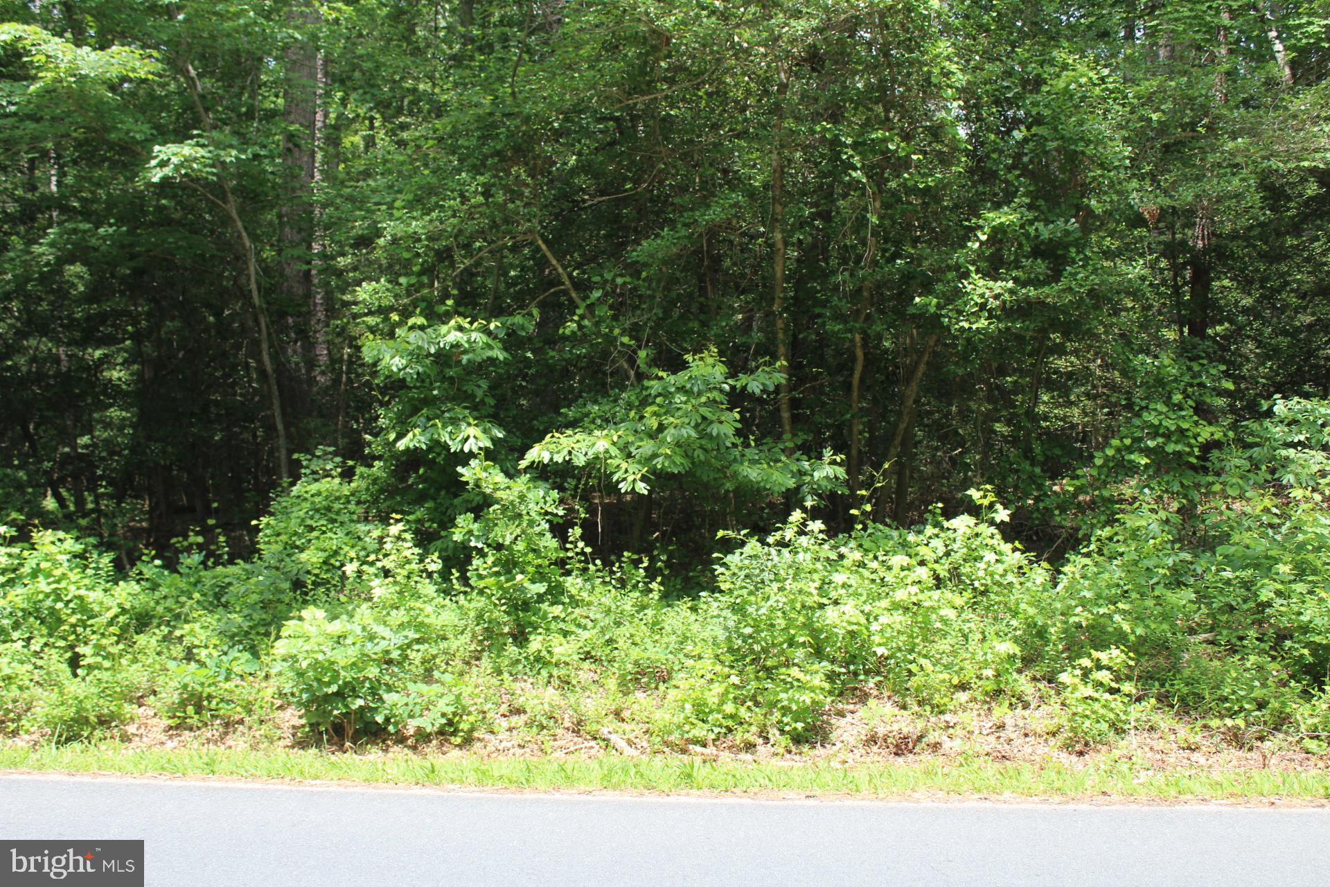 Lot 3 Jackson Road Salisbury, MD 21804 - Photo 2 of 20