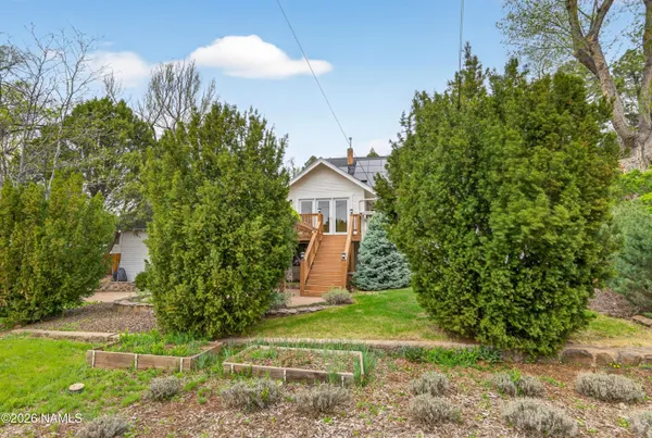 a yellow plant sitting in front of a house