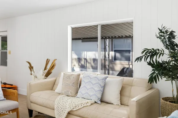 a living room with furniture and a potted plant