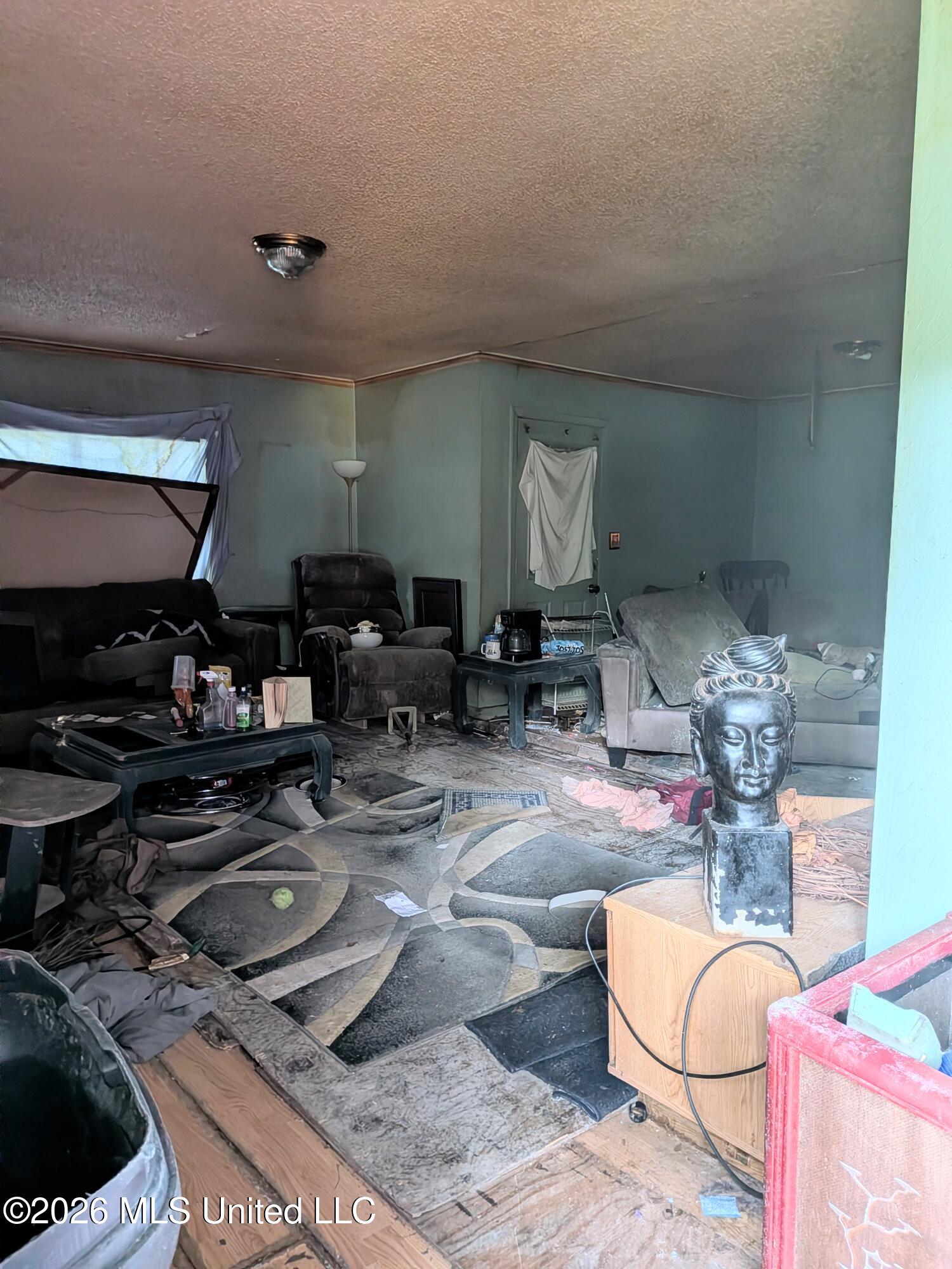 399 Cooper Road Jackson, MS 39212 - Photo 5 of 20 LIVING ROOM