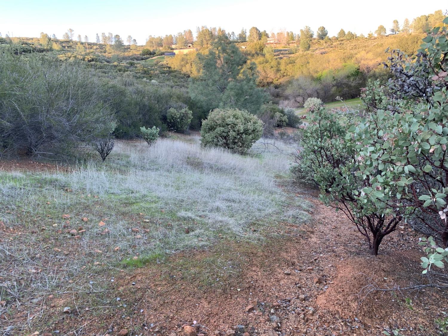 12-acres Sagebrush Road Lotus, CA 95651 - Photo 3 of 4 Gallery Image 3