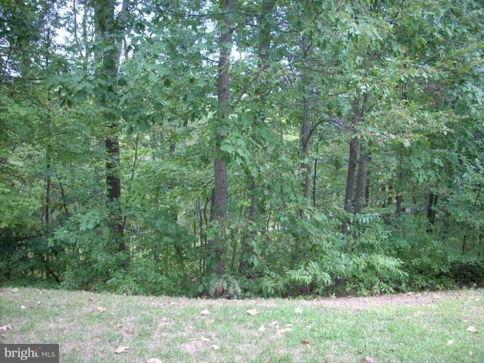 3002 Hunting Ridge Drive, Unit 3002 Owings Mills, MD 21117 - Photo 4 of 7 Back yard