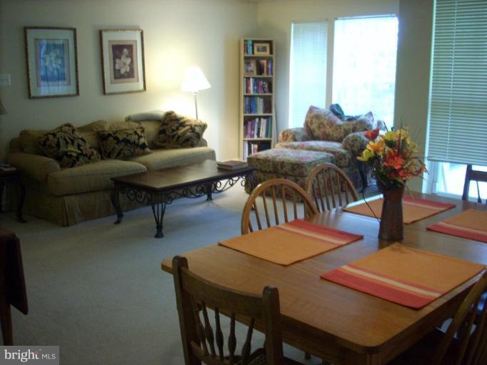 3002 Hunting Ridge Drive, Unit 3002 Owings Mills, MD 21117 - Photo 5 of 7 Living Room