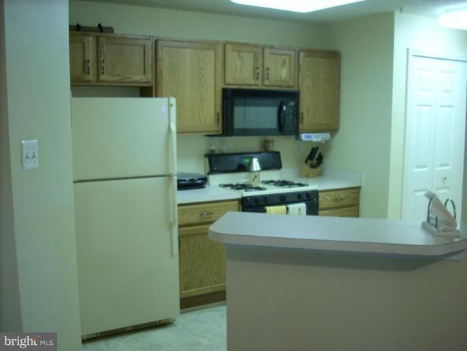 3002 Hunting Ridge Drive, Unit 3002 Owings Mills, MD 21117 - Photo 6 of 7 Kitchen