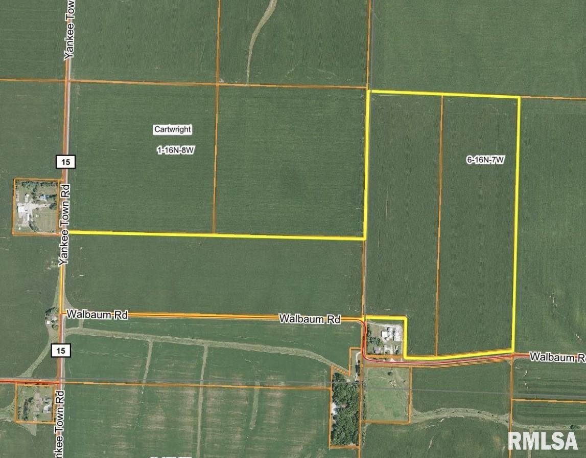 Walbaum Road Pleasant Plains, IL 62677 - Photo 1 of 11