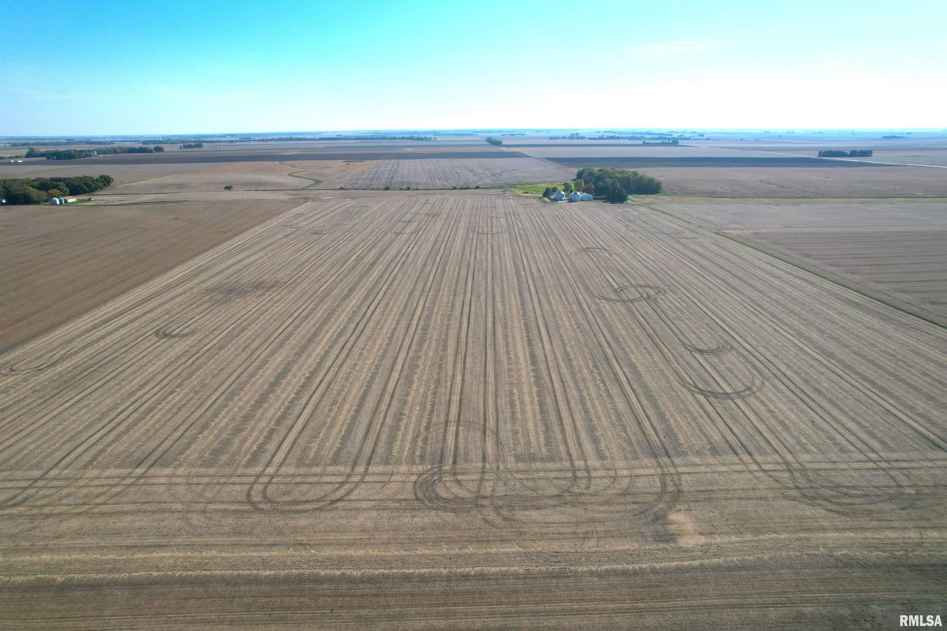 Walbaum Road Pleasant Plains, IL 62677 - Photo 5 of 11