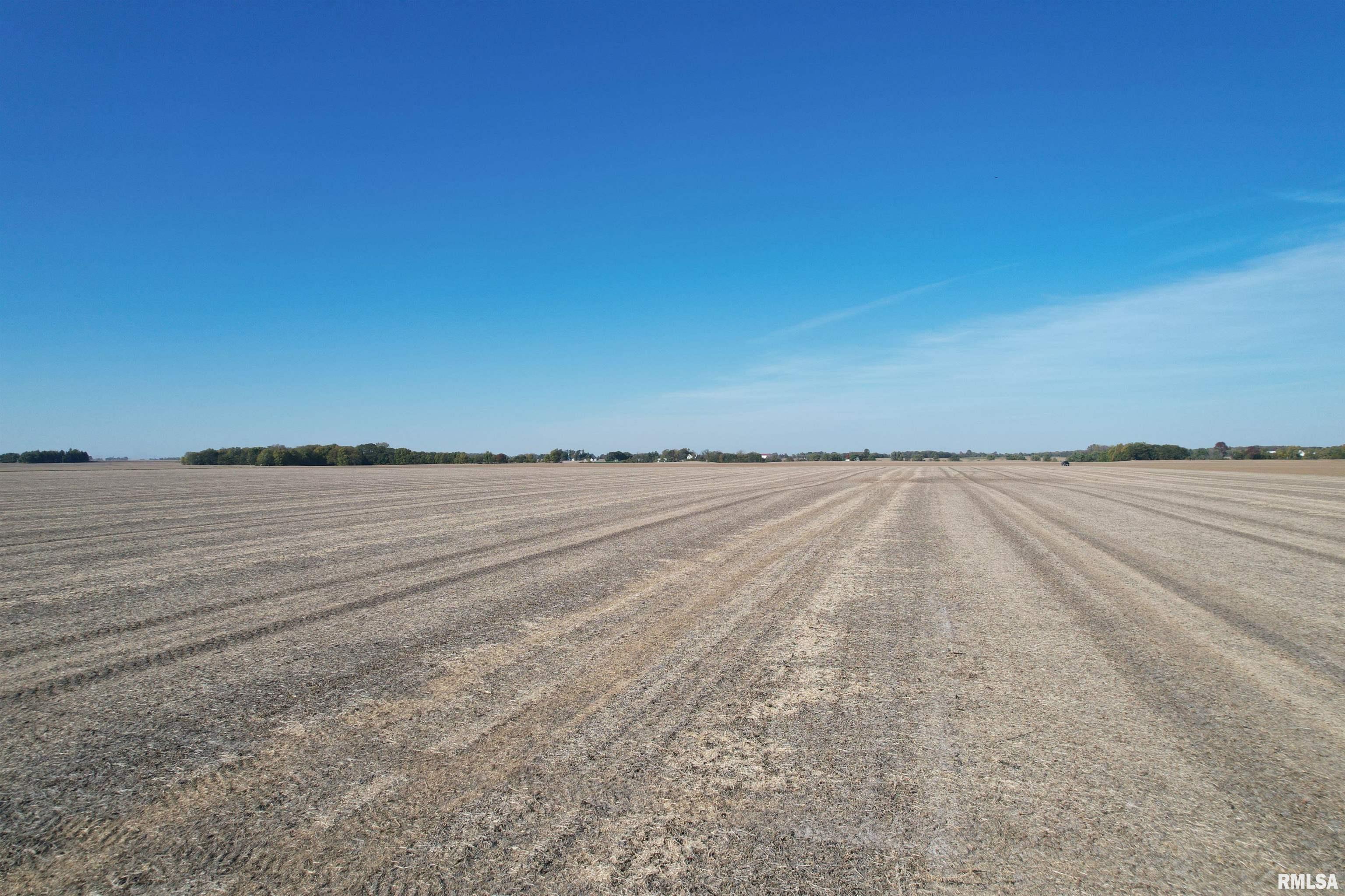 Walbaum Road Pleasant Plains, IL 62677 - Photo 9 of 11