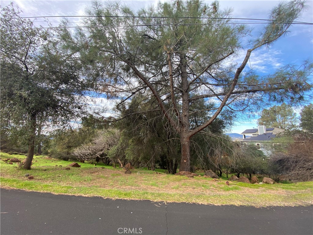 15749 Little Peak Road Hidden Valley Lake, CA 95467 - Photo 1 of 4 a view of swimming pool with trees in the background