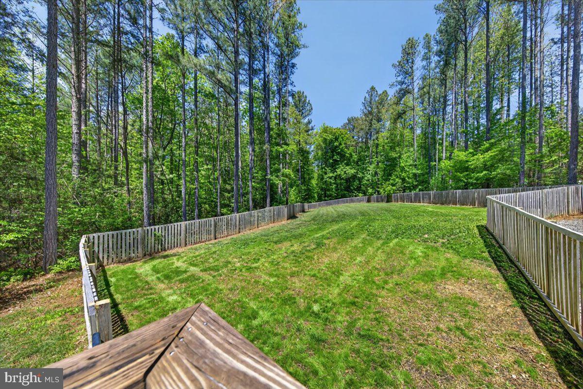 844 Manchester Road Bumpass, VA 23024 - Photo 55 of 65 Fenced in backyard